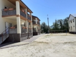 Кирилловка Кипарис Кипарис