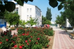 Ромашка